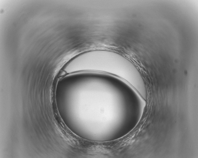 X0000089960244200706290907