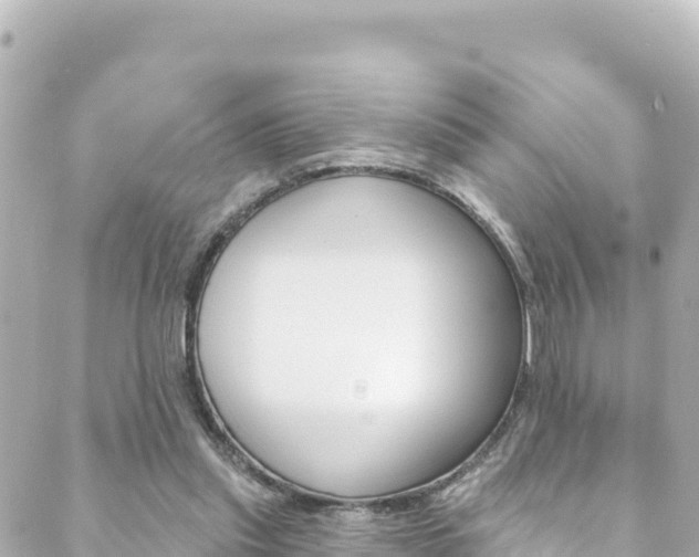 X0000089960253200706290908