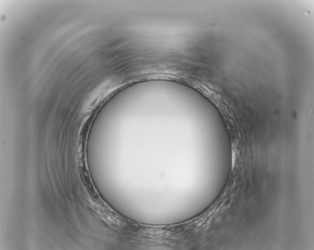 X0000089960339200706290906