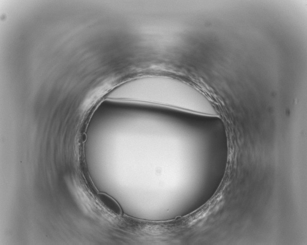 X0000089960341200706290906