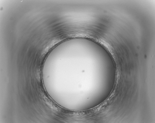 X0000089960345200706290906