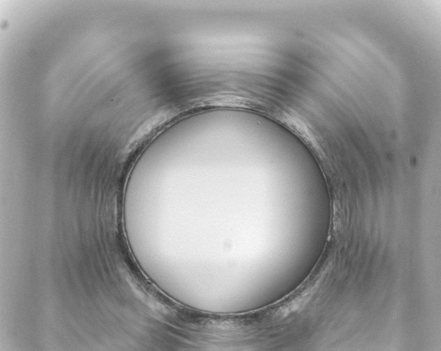 X0000089960349200706290906