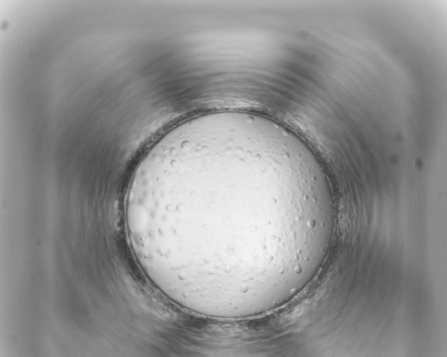 X0000089960351200706290906