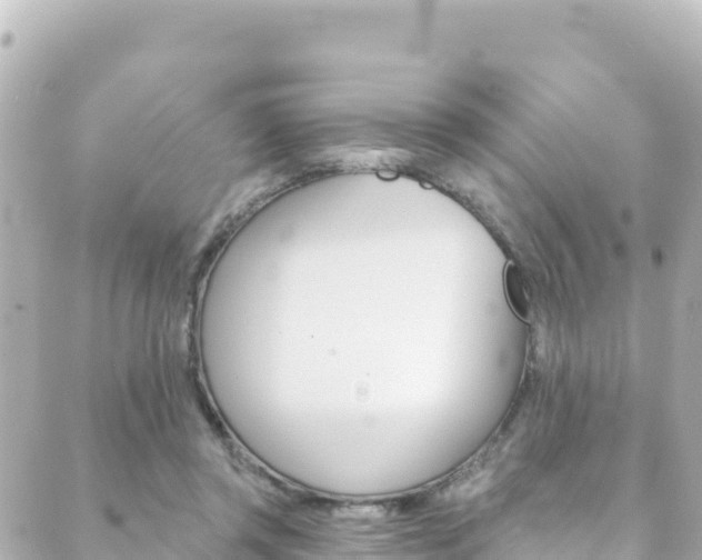 X0000089960357200706290906