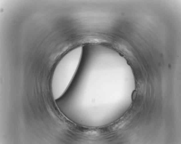 X0000089960358200706290906