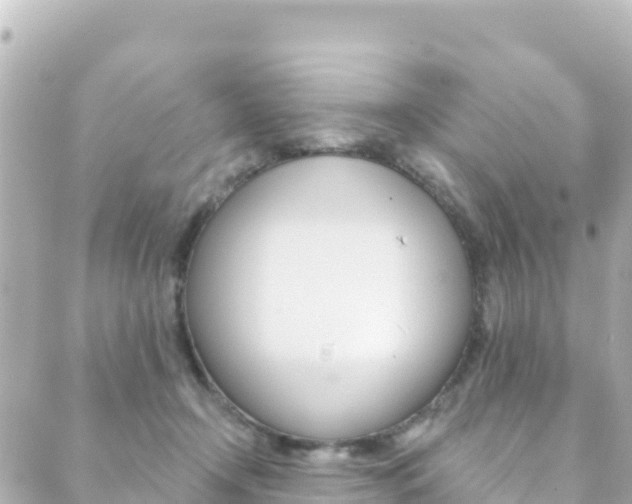 X0000089960366200706290906