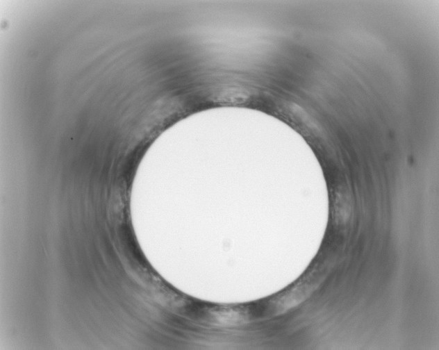 X0000089960370200706290906