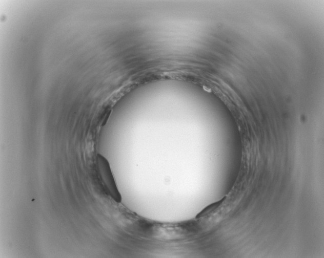 X0000089960372200706290906