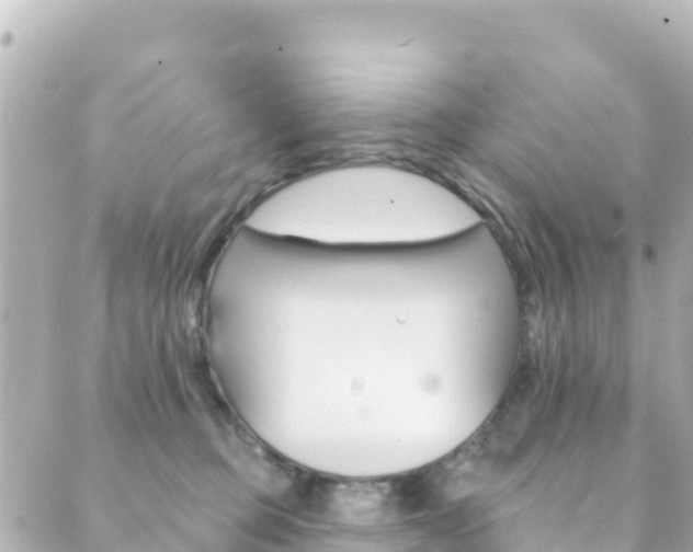 X0000089960373200706290906