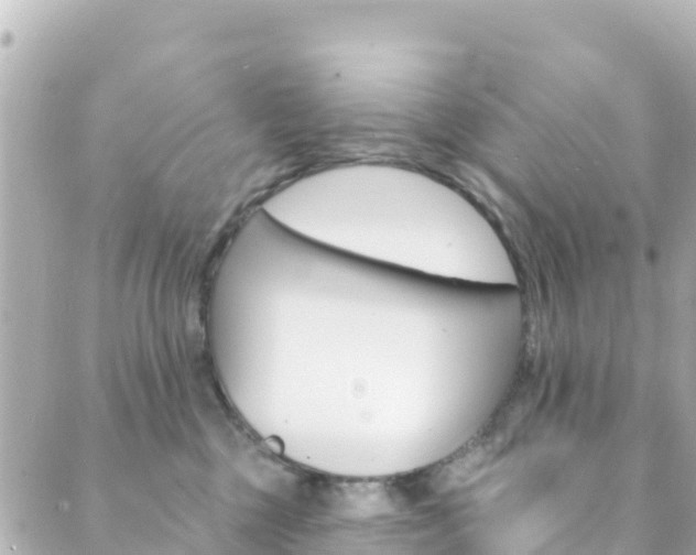 X0000089960377200706290906