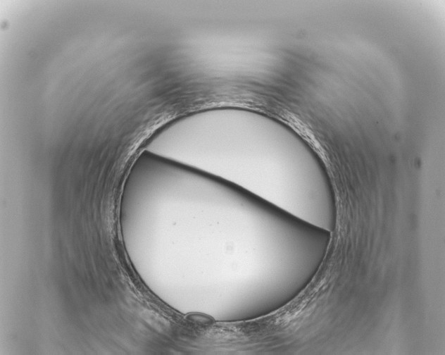 X0000089960386200706290906