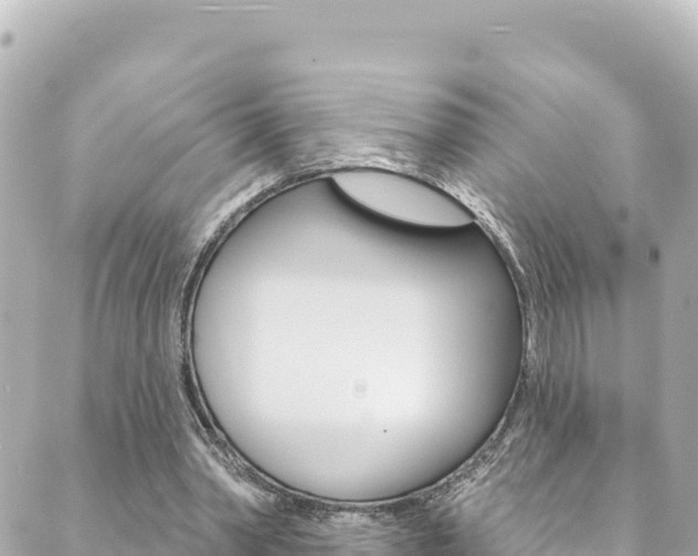 X0000089960390200706290906