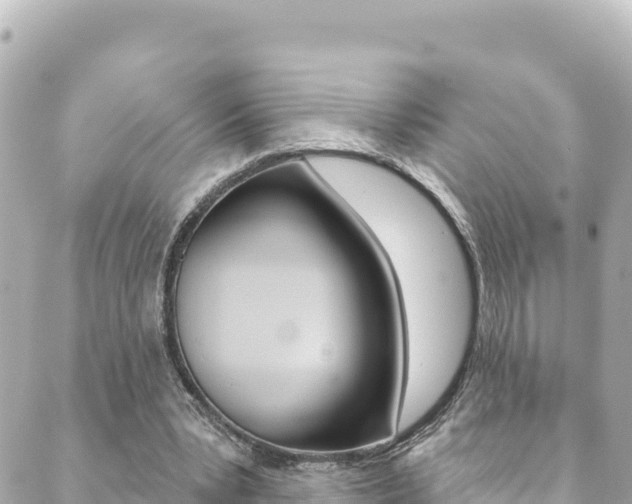 X0000089960391200706290906