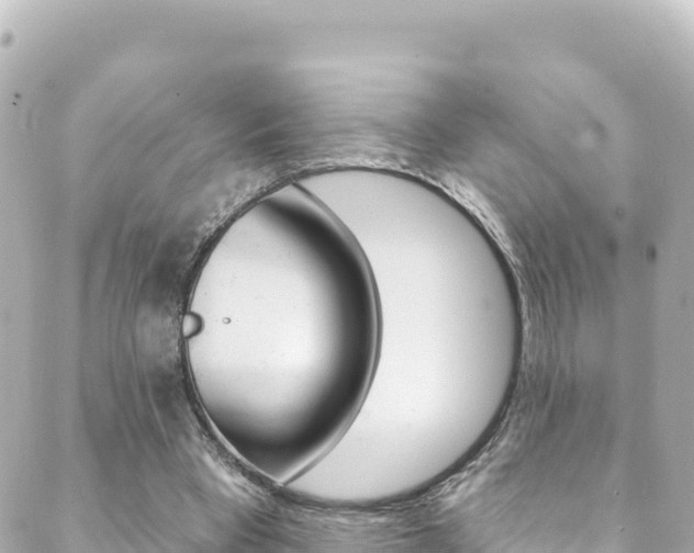 X0000089960393200706290906