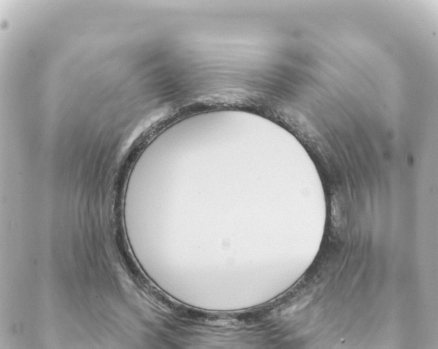 X0000089960396200706290906