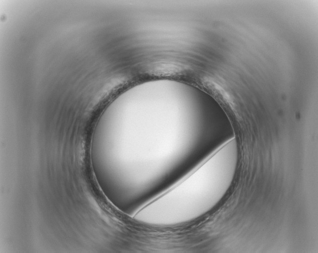 X0000089960400200706290906