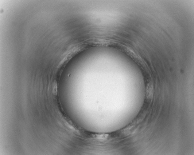 X0000089960474200706290905