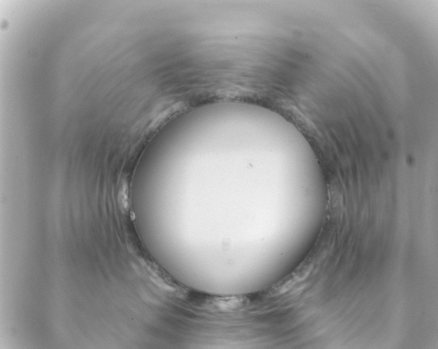 X0000089960479200706290905