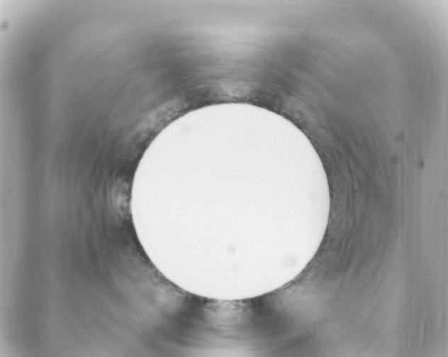 X0000089960672200706290902