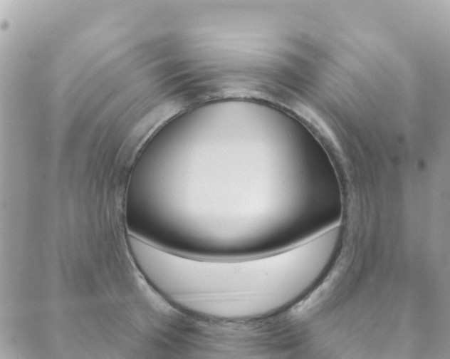 X0000089960801200706290859