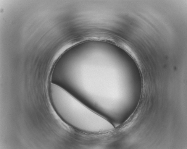 X0000089960803200706290859
