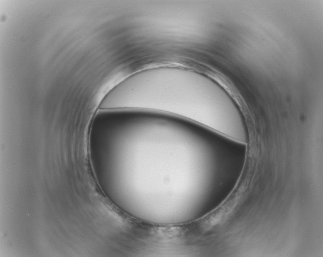 X0000089960858200706290859