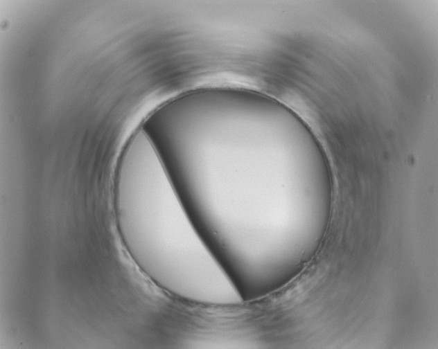 X0000089961008200706290856