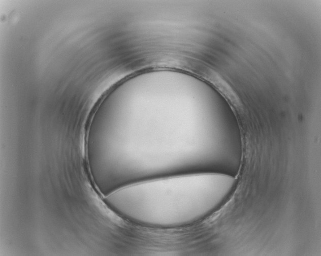 X0000089961036200706290855