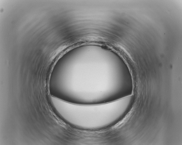 X0000089961065200706290855