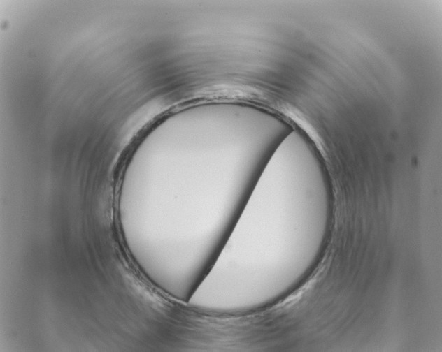 X0000089961075200706290855