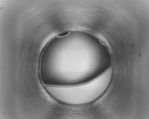 X0000089961138200706290854