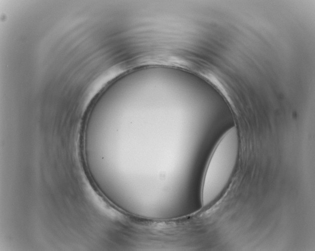 X0000089961139200706290854