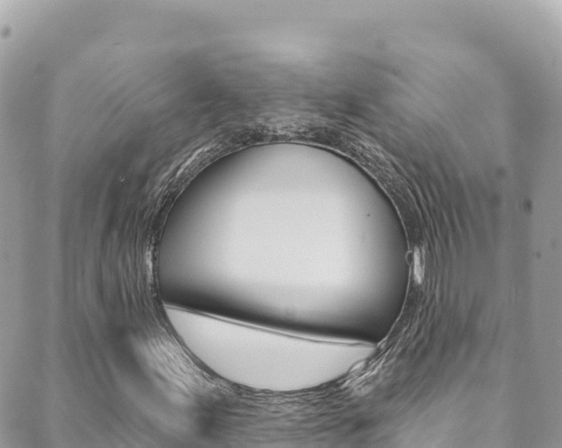 X0000089961155200706290853