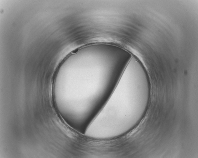 X0000089961179200706290853