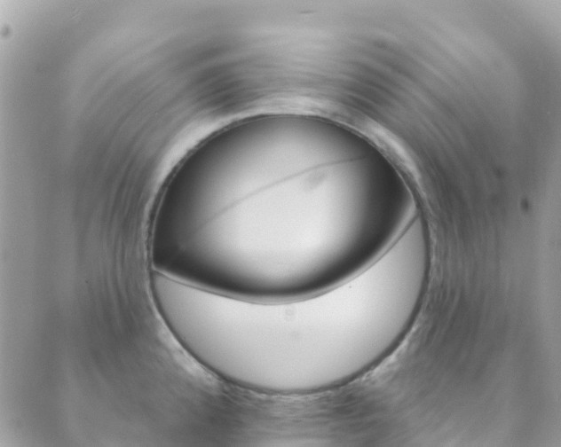 X0000089961192200706290853