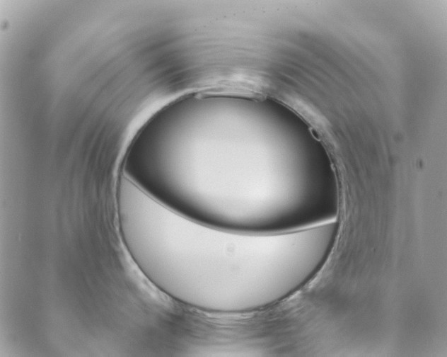 X0000089961200200706290852