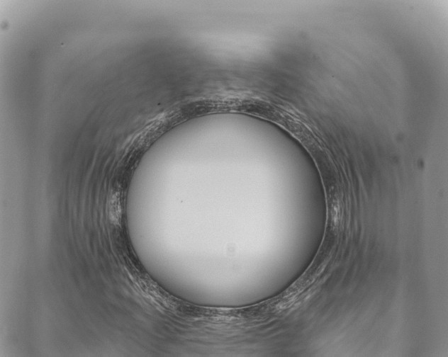 X0000089961204200706290852
