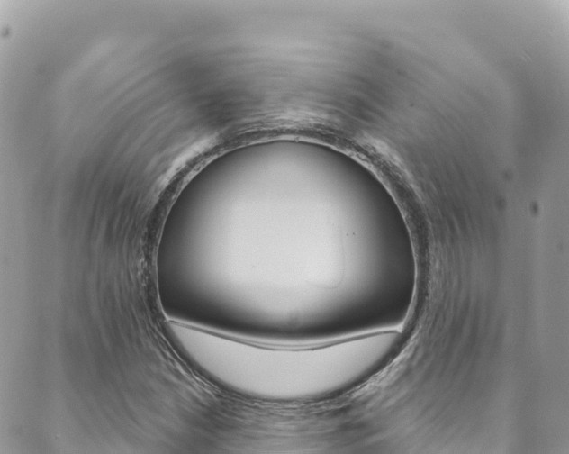 X0000089961210200706290852