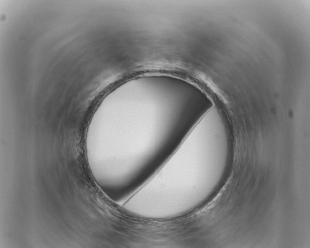 X0000089961213200706290852