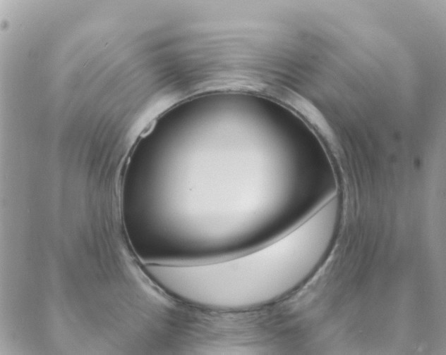 X0000089961242200706290852