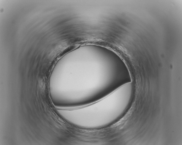 X0000089961257200706290852