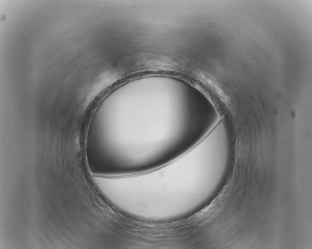 X0000089961261200706290851