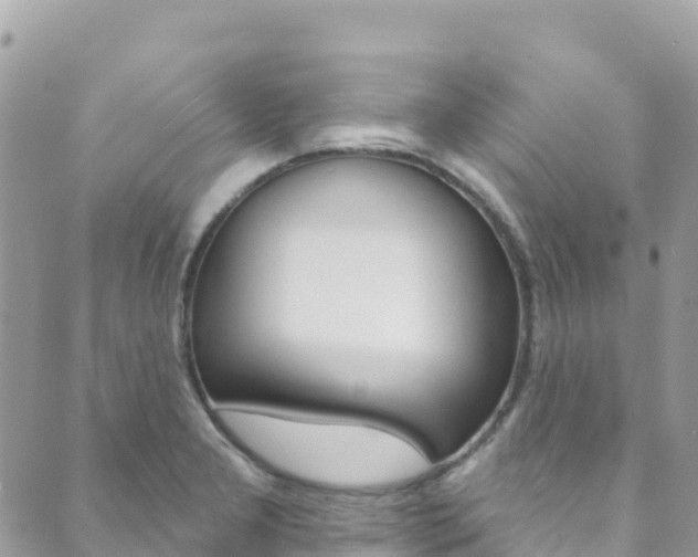 X0000089961277200706290851