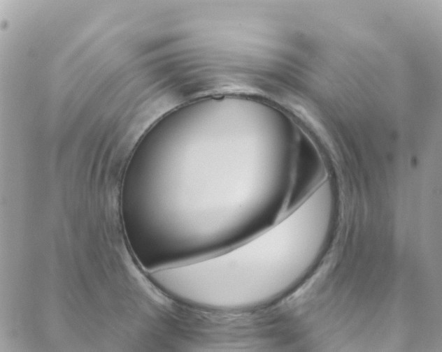 X0000089961281200706290851
