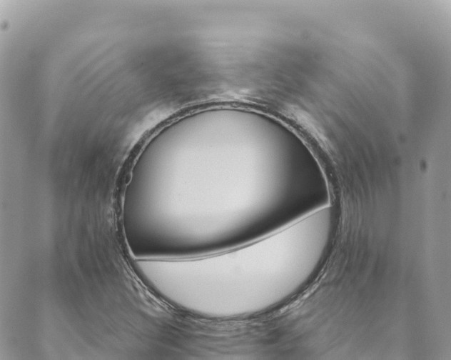 X0000089961308200706290850
