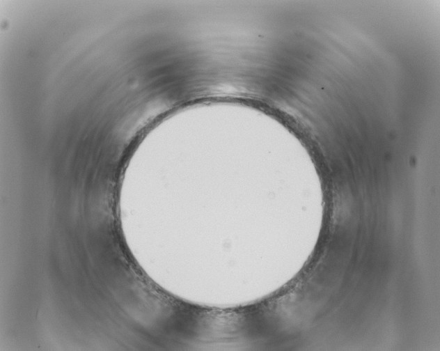 X0000089961314200706290850