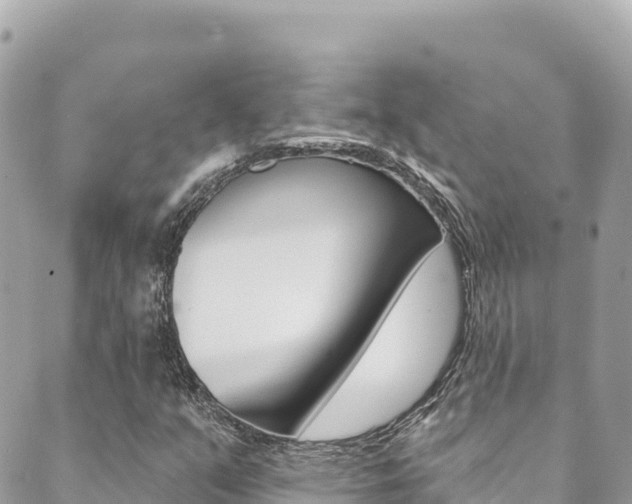 X0000089961351200706290850