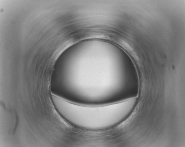 X0000089961377200706290850