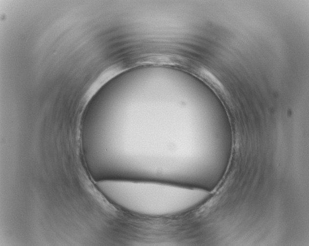 X0000089961378200706290850