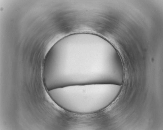 X0000089961390200706290849